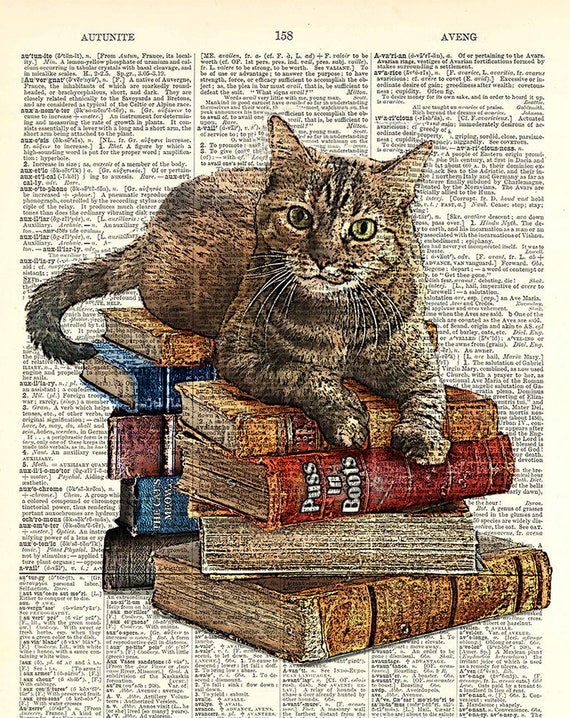 Stampa della pagina del libro. Arte muraria. Gatto sulla pila di