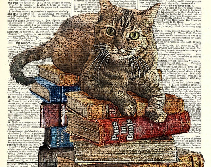 Cat on Book Stack. Kitty Classics Print has the look of an Ink drawing with color.  Art print on dictionary page.