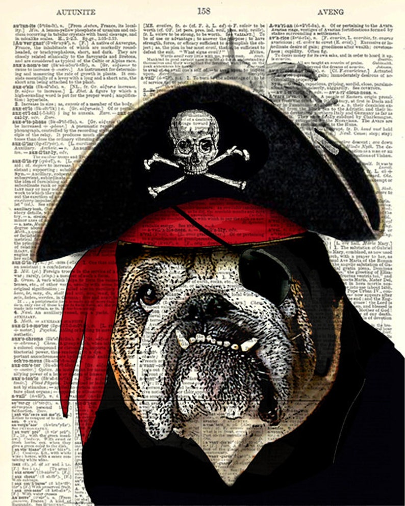 Pirate Bulldog Fun Dictionary Art Print. Upcycled Vintage Book Etsy