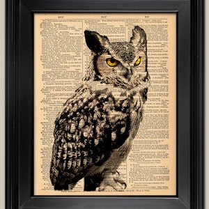 Owl art print. Upcycled vintage book page art print. Print on book page.  Fits 8"x10" frame.