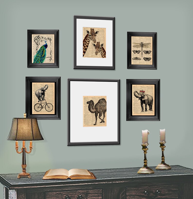 Puede incluir: Una pared de galer&iacute;a con seis impresiones enmarcadas que presentan ilustraciones vintage de animales. Las impresiones incluyen un pavo real, una jirafa, una lib&eacute;lula, un camello y dos elefantes. Las impresiones est&aacute;n dispuestas en un patr&oacute;n sim&eacute;trico en una pared verde claro. Una mesa de madera marr&oacute;n con un libro encima se encuentra frente a la pared.