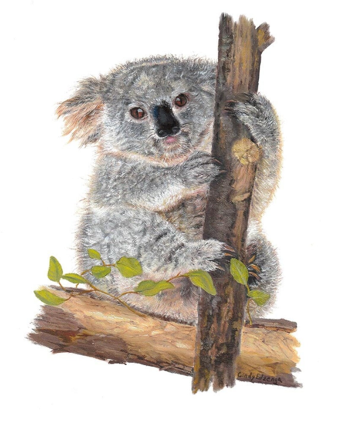 Koala Bear Art Print of Oil Painting. Child's or Teen Etsy