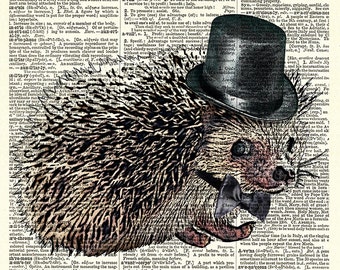 Hedgehog, Dapper Sideview Little Hedgehog, art print.  Vintage book page art print.  Print on book page.