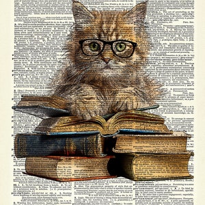 Kitten wall art on Book Stack. Cat Print has the look of an Ink drawing with color. Book  Art print on dictionary page.