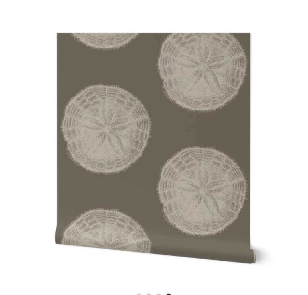 Vintage Sand Dollar Illustration Wallpaper Greige - Etsy