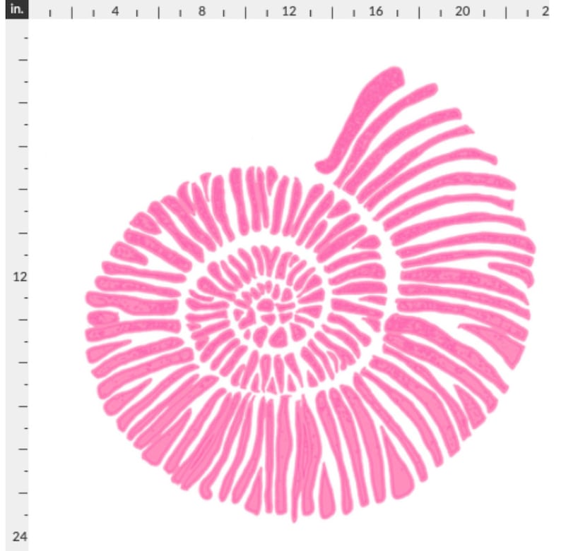 Nautilus Shell Wallpaper large Scale Hot Pink and White - Etsy