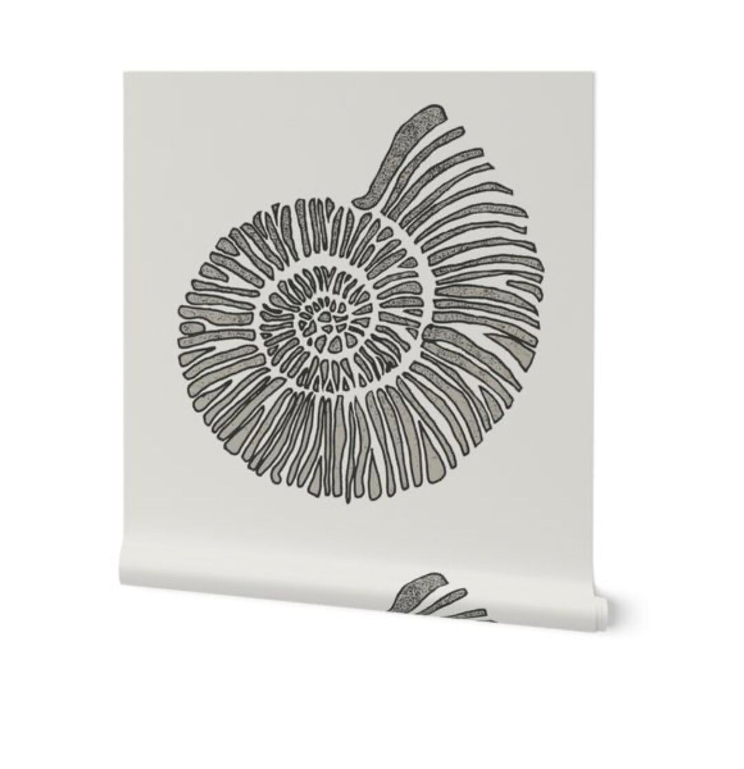 Nautilus Shell Wallpaper large Scale Greige grey & Beige - Etsy