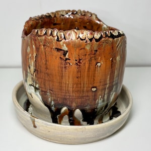 Keramik Mensch Teeth Pflanzgefäß mit Wasserschale kupferfarbe mit Hohlräumen Wohnkultur 15 x 12 cm