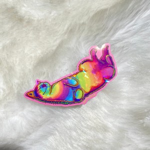 Pu&ograve; includere: Un adesivo di gatto arcobaleno olografico su uno sfondo bianco soffice. Il gatto &egrave; sdraiato sulla schiena con le zampe in aria.