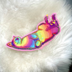 Pu&ograve; includere: Un adesivo di gatto arcobaleno su sfondo rosa. Il gatto &egrave; sdraiato sulla schiena con le zampe in aria.
