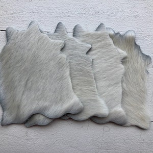 Cowhide Coasters