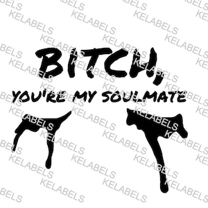 You&#39;re my soulmate SVG, PNG, & PDF