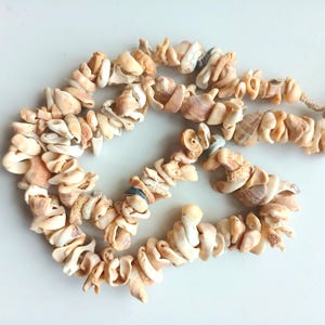 May include: A long strand of beige and brown seashells strung together with a beige cord. The shells are various shapes and sizes, some are smooth and some are rough.