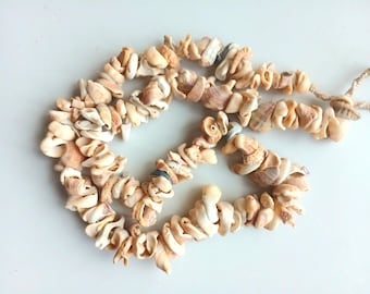 Vintage broken shell beads, free form shaped natural sea shells