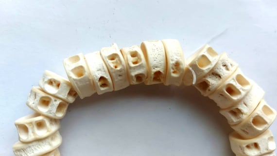 22-25 Fish Bone Beads (14-15 X 8-10 Mm.), Strand 8