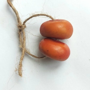 以下が含まれることがあります： オレンジがかった茶色の楕円形の物体が2つ、天然の紐で繋がれています。物体は積み重ねられています。紐は結ばれており、上と左に伸びています。背景は白です。