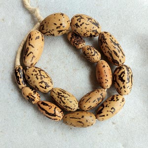 May include: A necklace of speckled beans in shades of tan and brown, strung on a natural fibre cord. The oval-shaped beans have dark brown markings, creating a unique pattern. The cord is a light beige colour.