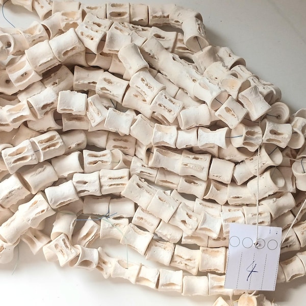 40 cm (16 inches string), 10-11 mm. diameter fish bone, fish vertebrae #4