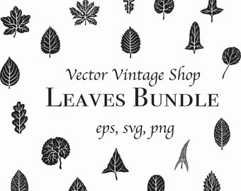 AUTUMN LEAVES SVG Vector Bundle, Leaf Clipart, Fall Decor Graphic, Silhouette Illustration, Back To School Decor, png eps svg
