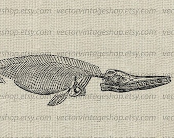 ICHTHYOSAURUS SKELETON SVG, Aquatic Reptile Clipart, Printable Download, Fossil Clip Art, Victorian Illustration jpeg png