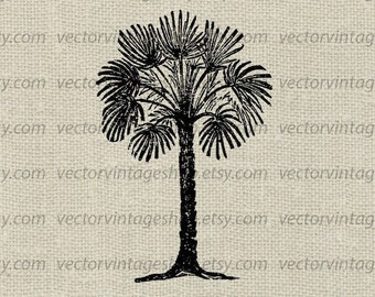 PALMETTO TREE SVG Vector Clip Art, Palm Tree Vintage Illustration, Tropical Beach Decor, Commercial Use, Printable Download, jpg png eps