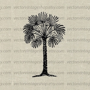 Palmen Baum SVG Vektor Clip Art, Palme Vintage Illustration, tropische Strand Dekoration, kommerzielle Nutzung, printable Download, jpg png eps