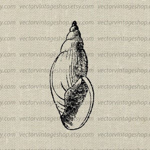 SEASHELL SVG File, Vintage Style Vector Illustration, Printable Download, Summer Beach Decor, Marine Life jpeg png eps