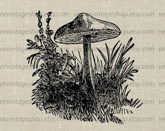 Toadstool SVG Vector Clipart: Vintage Mushroom Botanical Art (Printable Download)