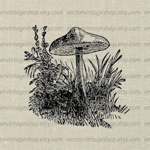 TOADSTOOL SVG VECTOR Clipart, Mushroom Digital Illustration, Vintage Style, Victorian Nature, Botanical Art, Printable Download, jpg png eps image 1