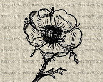 ANEMONE FLOWER SVG, Vintage Floral Vector Graphic, Commercial Use, Botanical Art Illustration, Printable Download