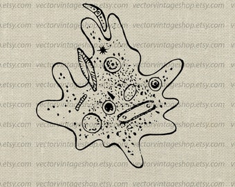 Clipart Vector Graphics Commercial Use By Vectorvintageshop