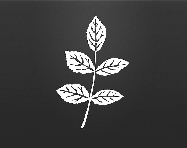 Free Free 109 Silhouette Flower Leaves Svg SVG PNG EPS DXF File