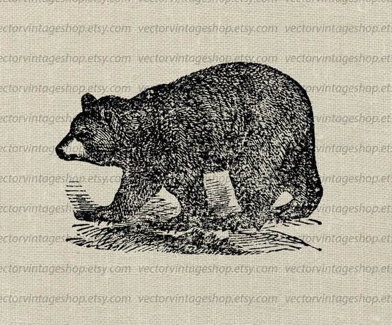 Bear Vector Clipart Instant Download Wild Forest Animal Clip Etsy
