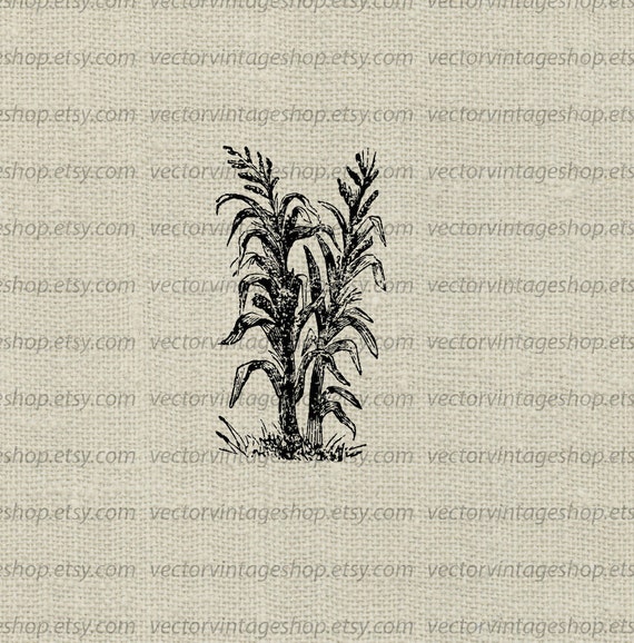 Clipart Vector Banana Tree