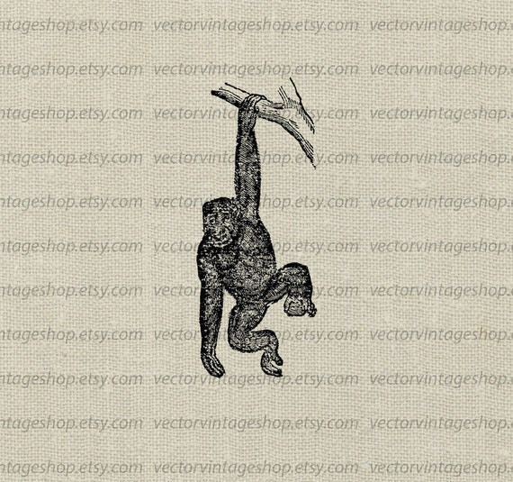 Monkey Vector Clipart Instant Download Ape Animal Chimpanzee Etsy