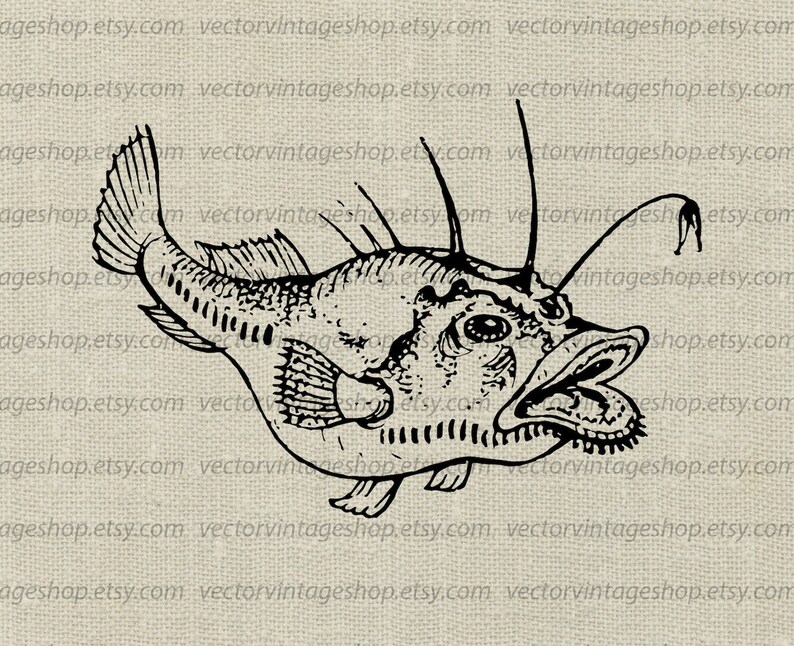 Download Angler Fish Clipart Vector Instant Download Anglerfish Clip | Etsy