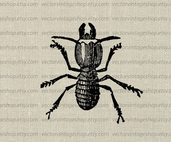 Termite Insect Vector Graphic Instant Download Insect Pest Etsy
