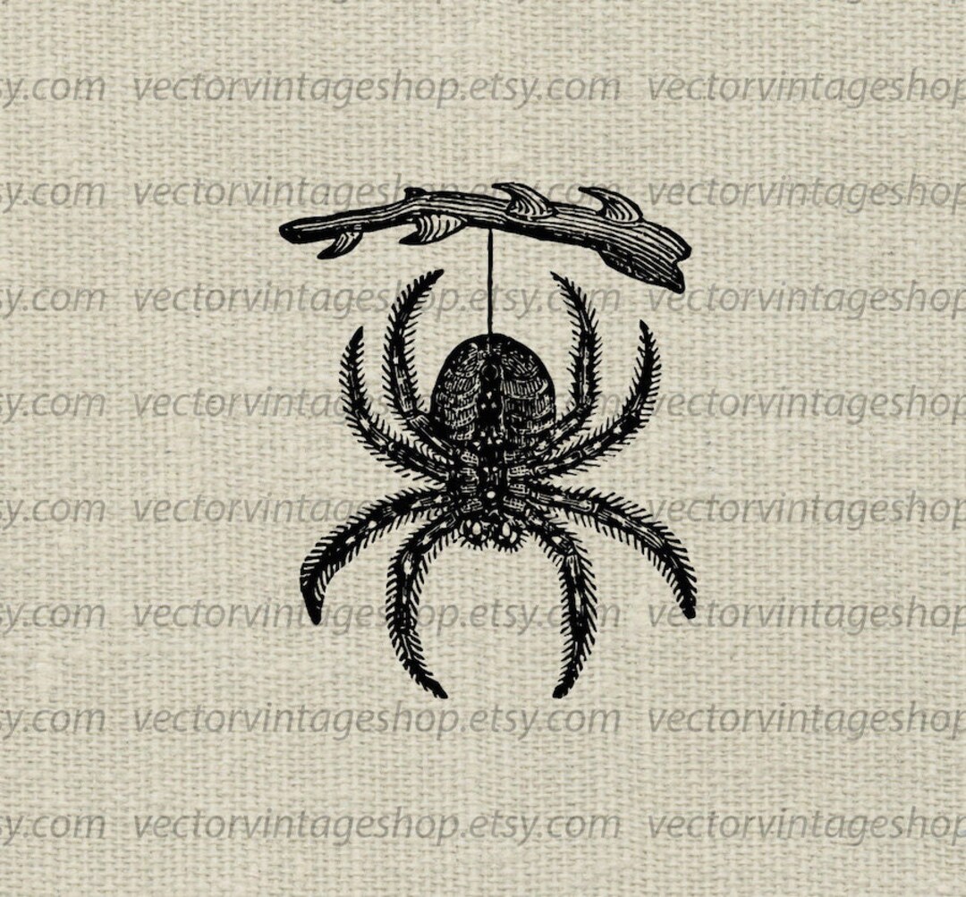 HANGING SPIDER SVG, Vintage Style Vector Illustration, Halloween Decor