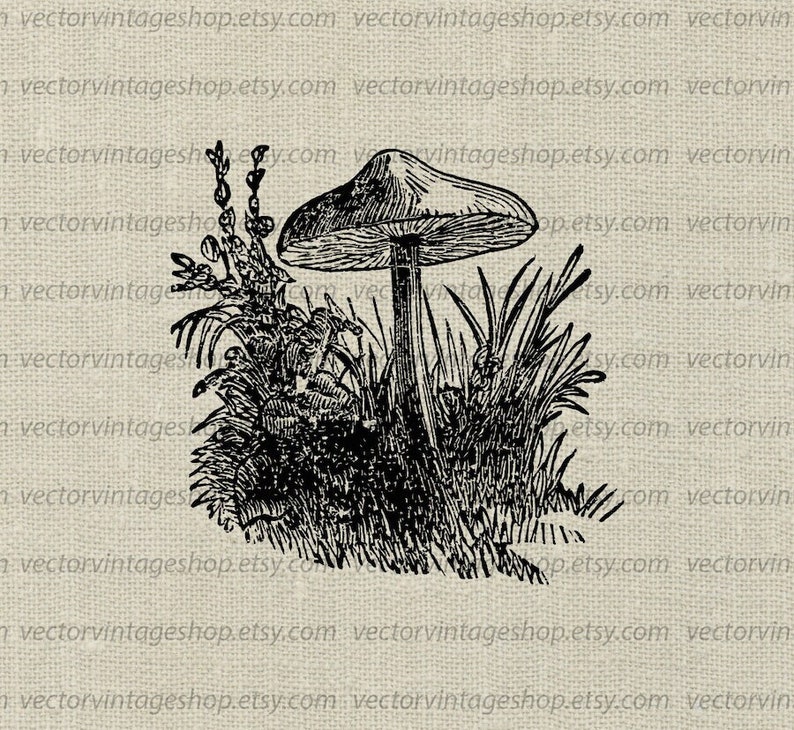 TOADSTOOL SVG VECTOR Clipart, Mushroom Digital Illustration, Vintage Style, Victorian Nature, Botanical Art, Printable Download, jpg png eps image 1