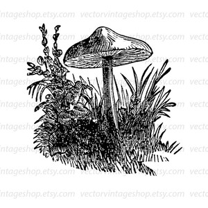 TOADSTOOL SVG VECTOR Clipart, Mushroom Digital Illustration, Vintage Style, Victorian Nature, Botanical Art, Printable Download, jpg png eps image 2