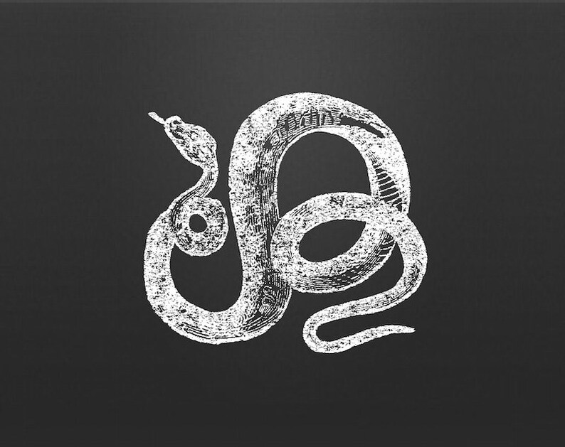 Coiled Snake Vector Clipart Instant Download Digital ...