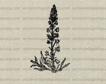 MIGNONETTE FLOWER SVG File, Vintage Style Vector Clipart, Reseda Wedding Floral Decor, Nature Botanical Illustration