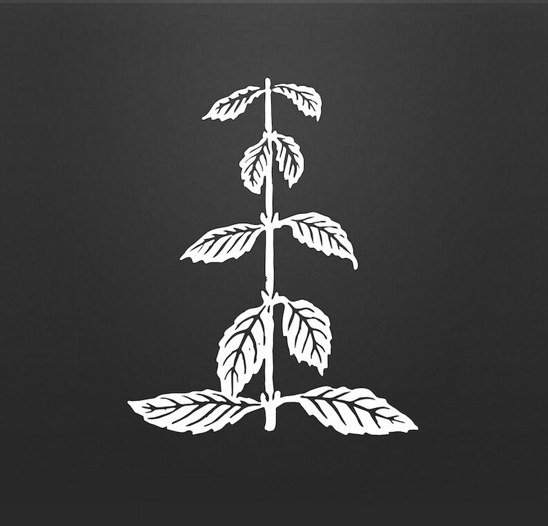 Peppermint Leaves Silhouette Clipart Herb Plant Vector Clip Etsy