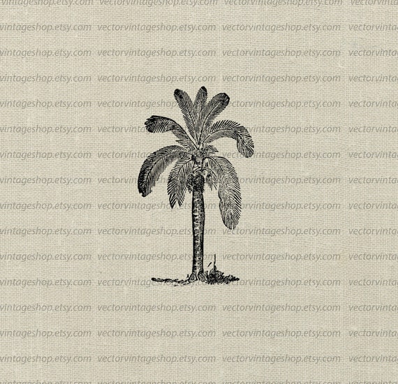 Download Free Palm Tree Clipart Vector Tropical Theme Wax Palm Graphic Clip Etsy SVG Cut Files