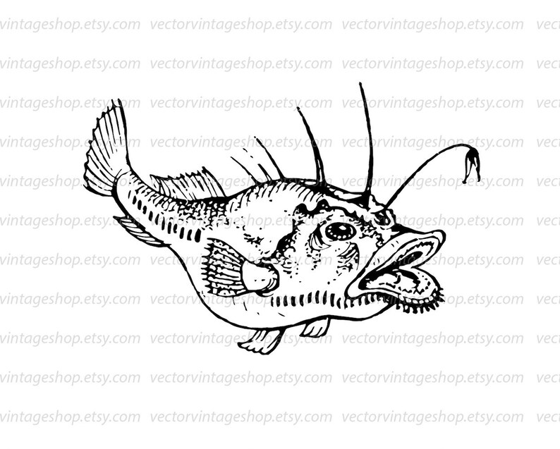 Download Angler Fish Clipart Vector Instant Download Anglerfish Clip | Etsy