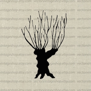 WILLOW TREE SVG File, Winter Tree Trunk Silhouette Clip Art, Leafless Tree, Commercial Use, Printable Download, png jpg eps