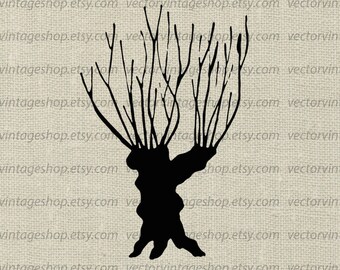 WILLOW TREE SVG File, Winter Tree Trunk Silhouette Clip Art, Leafless Tree, Commercial Use, Printable Download, png jpg eps