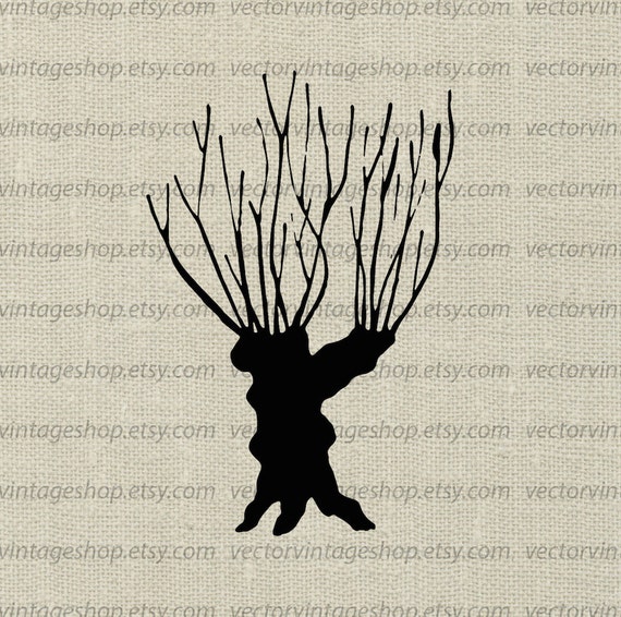Willow Tree Vector Clipart Bare Tree Trunk Silhouette Clip Etsy