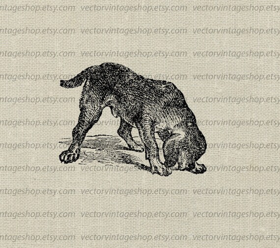 Dog Vector Clipart Instant Download Bloodhound Pet Animal Etsy