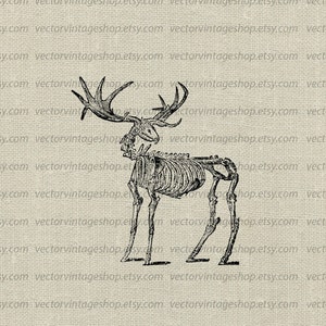 Deer Skeleton Vector Clipart Instant Download Deer Antler | Etsy